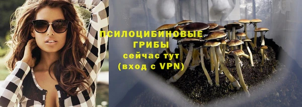 сатива Верхнеуральск