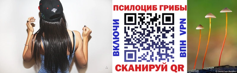 купить наркоту  Лодейное Поле  Галлюциногенные грибы прущие грибы 