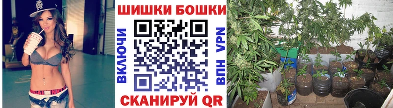 Каннабис VHQ  продажа наркотиков  Лодейное Поле 